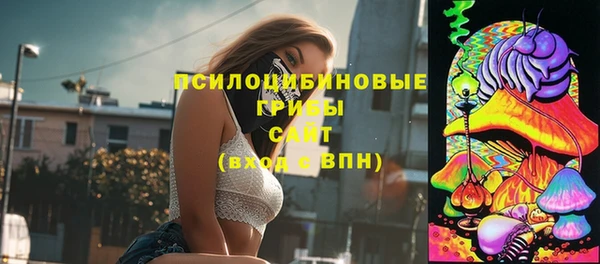 стафф Абдулино